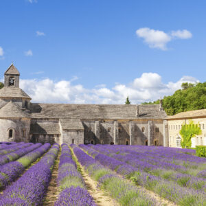 Lavandes et Art de vivre dans le Lubéron - 27 et 28 juin 2026